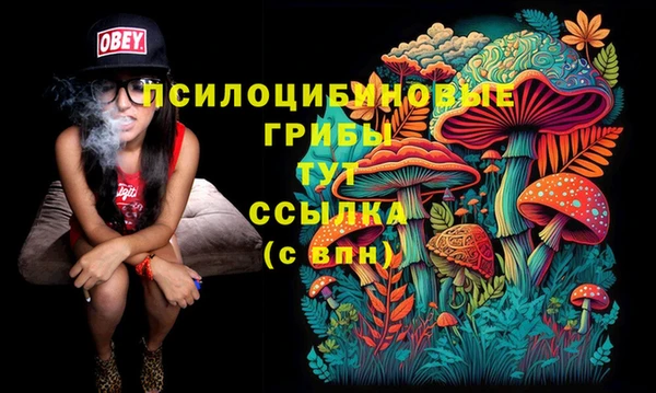 хмурый Новодвинск