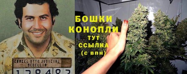 мет Нея