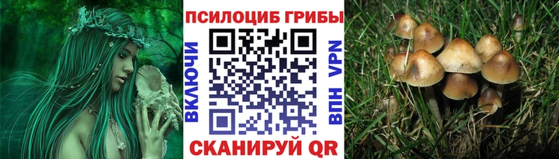 Галлюциногенные грибы Magic Shrooms  Анадырь 